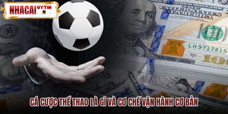 Bản chất cá cược thể thao và hệ thống tỷ lệ odds