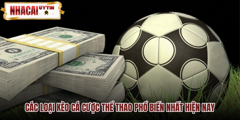 Các hình thức cá cược thể thao và kèo Châu Âu cơ bản