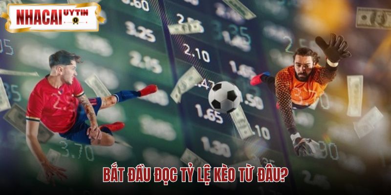 Trình tự cách đọc tỷ lệ kèo và nhận diện cửa trên