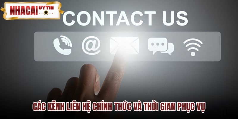 Mạng lưới liên hệ đa nền tảng và khung giờ phục vụ