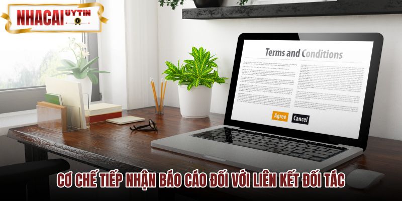 Điều khoản và điều kiện xử lý báo cáo liên kết hỏng