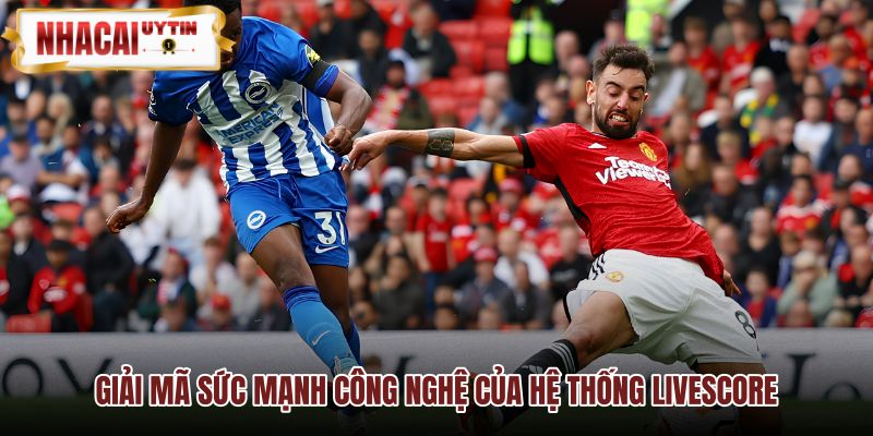 Năng lực hạ tầng Livescore tự động hóa xử lý dữ liệu