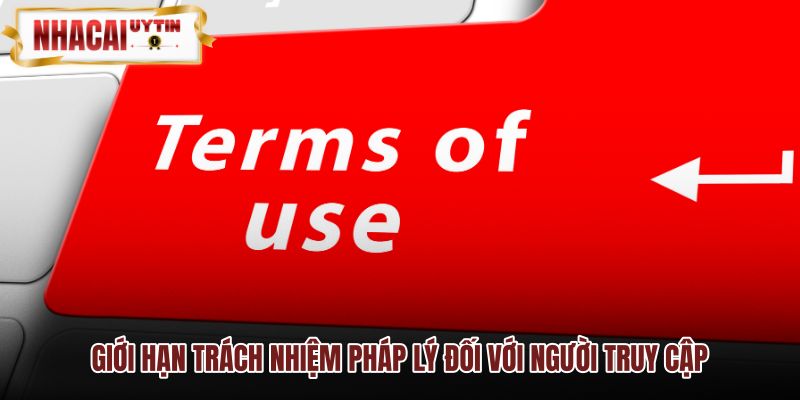 Các điều khoản và điều kiện miễn trừ trách nhiệm pháp lý online