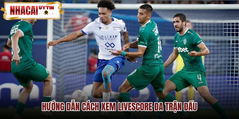 Quy trình theo dõi Livescore đa màn hình trực quan tiện lợi