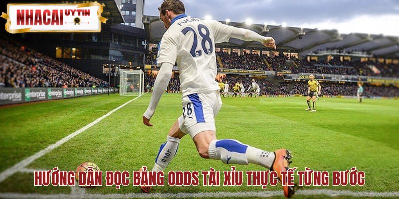 Kèo tài xỉu là gì qua cách đọc bảng odds thực tế