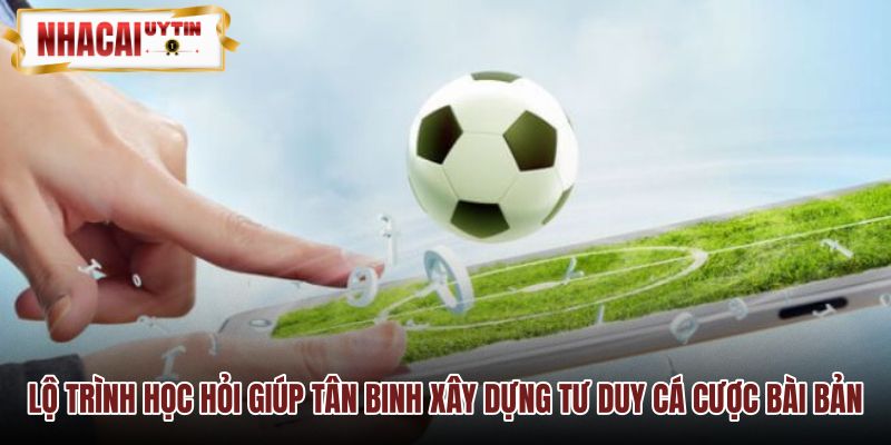 Lộ trình hướng dẫn cá cược từ cơ bản đến chuyên sâu