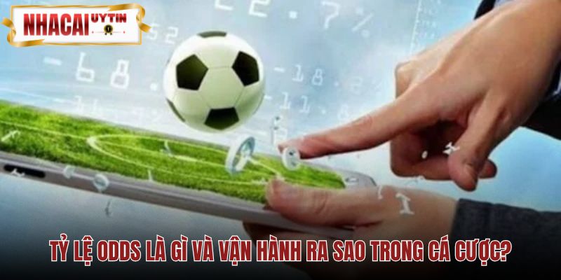 Tỷ lệ odds là gì và xác suất ngầm định nhà cái