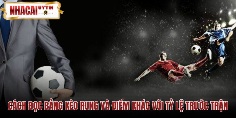 So sánh kèo rung với tỷ lệ trước trận qua từng tiêu chí cụ thể