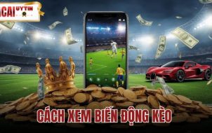 Cách Xem Biến Động Kèo