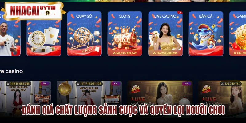 Chất lượng giao diện 8LIVE và chính sách ưu đãi người dùng Chất lượng giao diện 8LIVE và chính sách ưu đãi người dùng