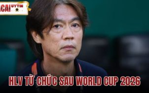 HLV Từ Chức Sau World Cup 2026