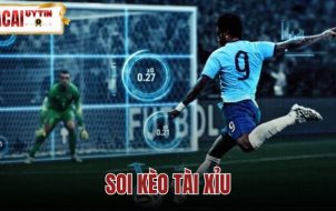 Soi Kèo Tài Xỉu