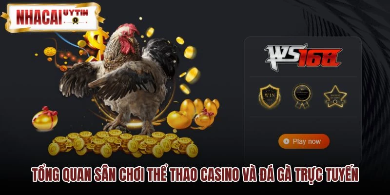 Tình trạng kết nối Tình trạng kết nối