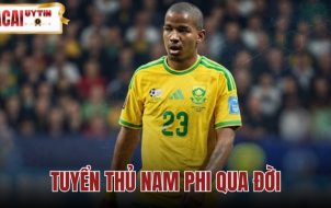 Tuyển Thủ Nam Phi Qua Đời - Jayden Adams 25 Tuổi