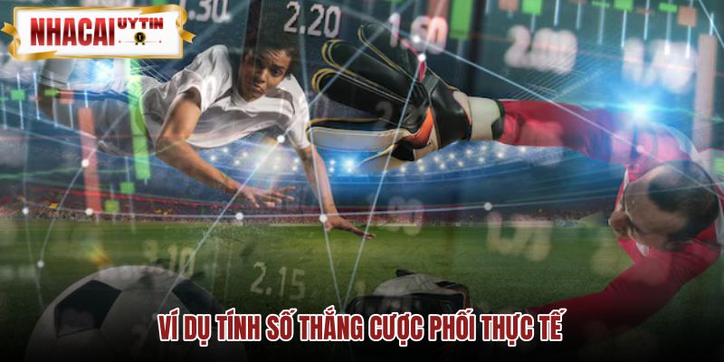 Cách tính cược xiên qua phối 2 phối 3 và hệ thống